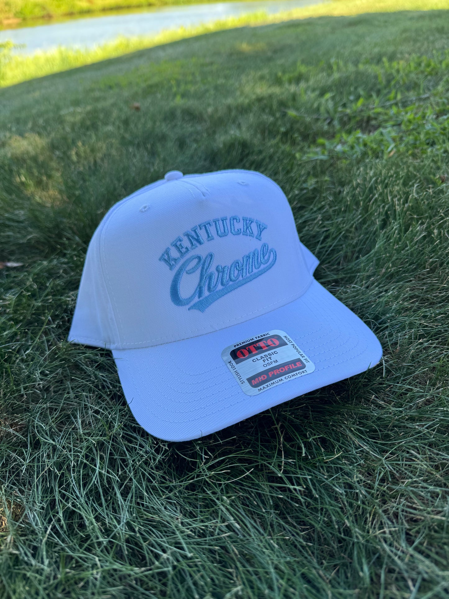 Chrome Otto Cap