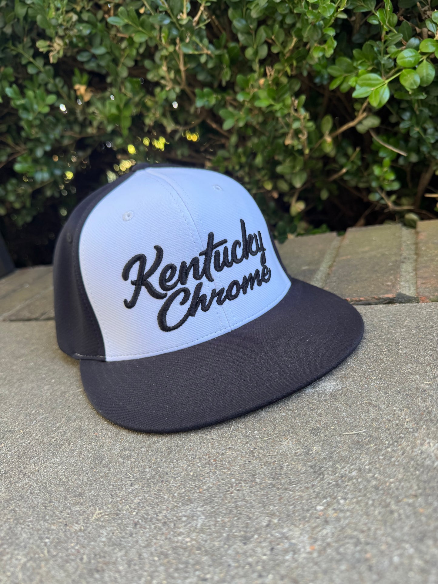 Chrome PTS 20 embroidery